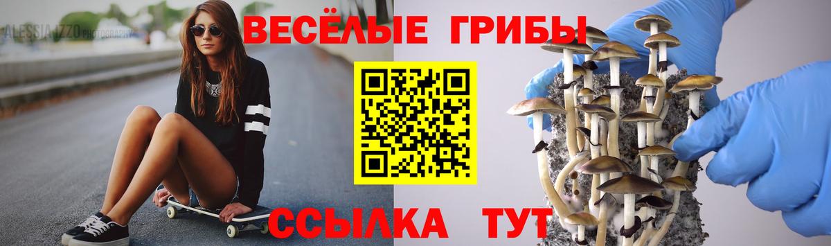 Осинники  Псилоцибиновые грибы GOLDEN TEACHER  Вход с VPN 